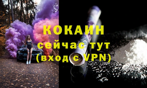 ешки Аркадак