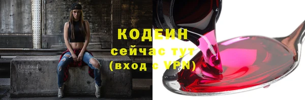 гидра Арсеньев