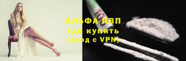 ешки Аркадак