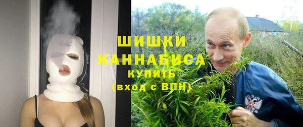гидра Арсеньев