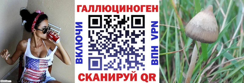 Галлюциногенные грибы GOLDEN TEACHER Красный Кут