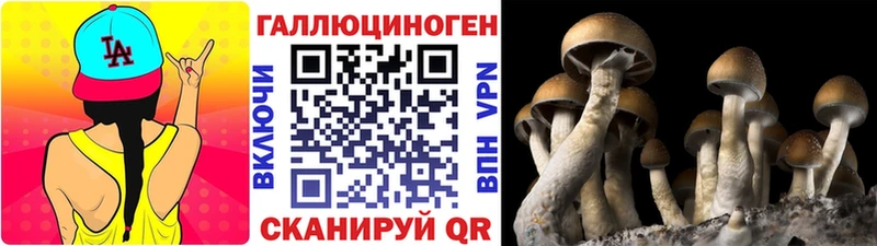Галлюциногенные грибы прущие грибы  Красный Кут 